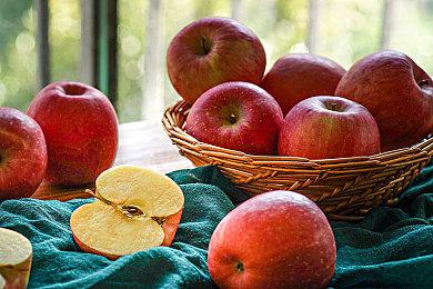 传育碧开发《孤岛惊魂7》和《孤岛惊魂》多人游戏